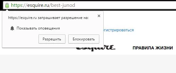 Запрос на показ оповещений на сайте "Эсквайра"